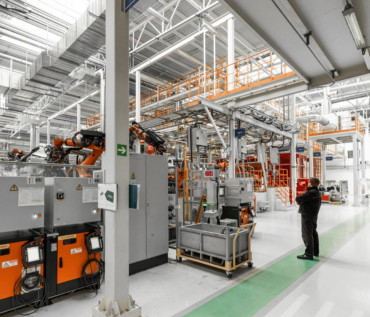 plant health maintenance Adelaide